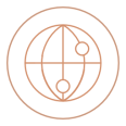 Icon dual