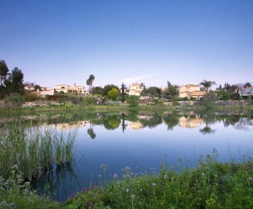 pestana lake